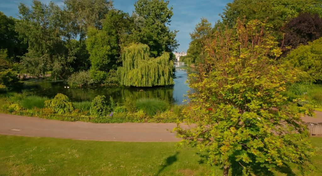 “Scenic view of St James's Park featuring a tranquil lake, lush greenery, weeping willow trees, and walking paths under a clear blue sky.”
